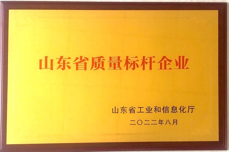 2022年度山東省質(zhì)量標(biāo)桿企業(yè)